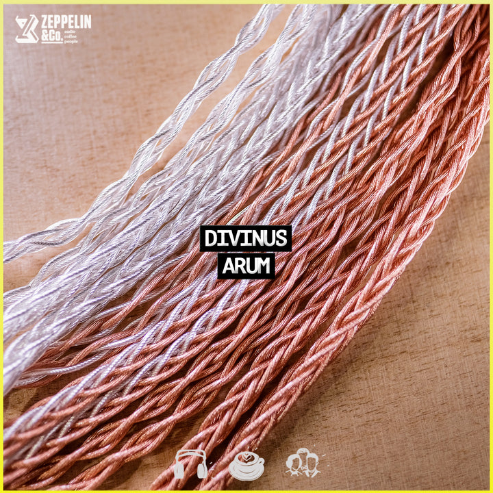 DivinusArum-1