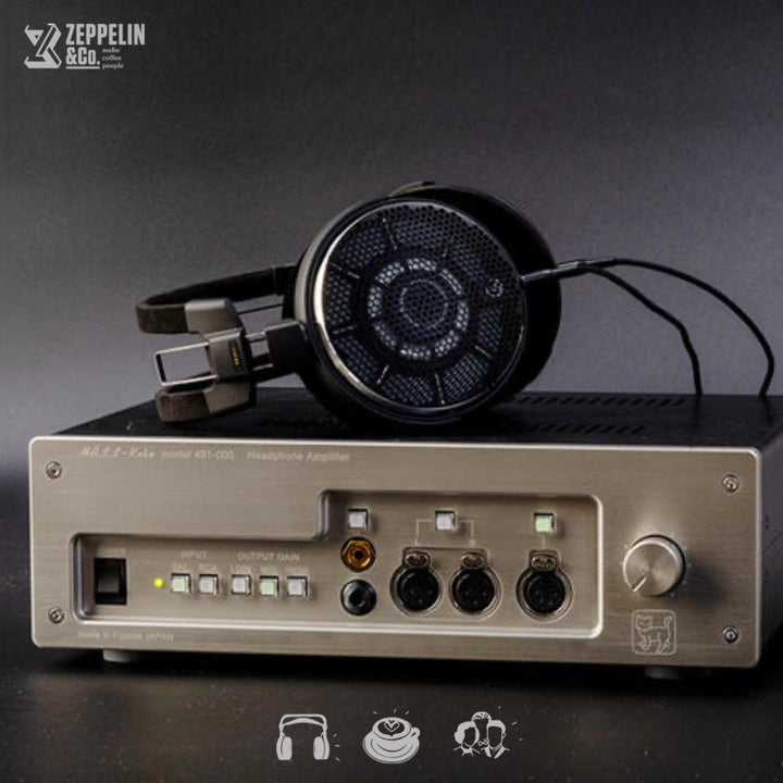 Model491_01
